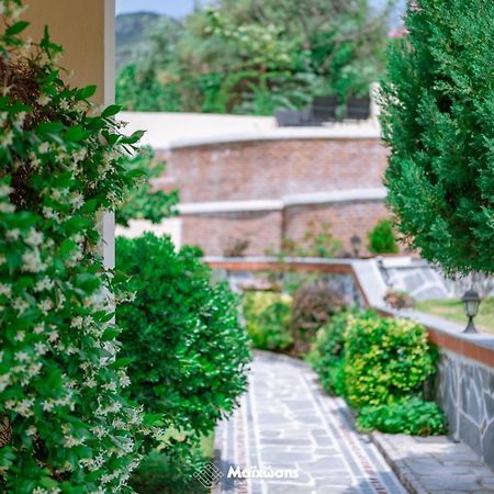 Helianthos Villa - Apartment No4 PalaiónTsiflíkion Εξωτερικό φωτογραφία
