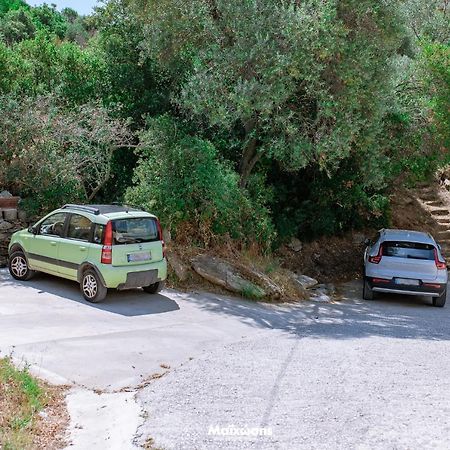 Helianthos Villa - Apartment No4 PalaiónTsiflíkion Εξωτερικό φωτογραφία