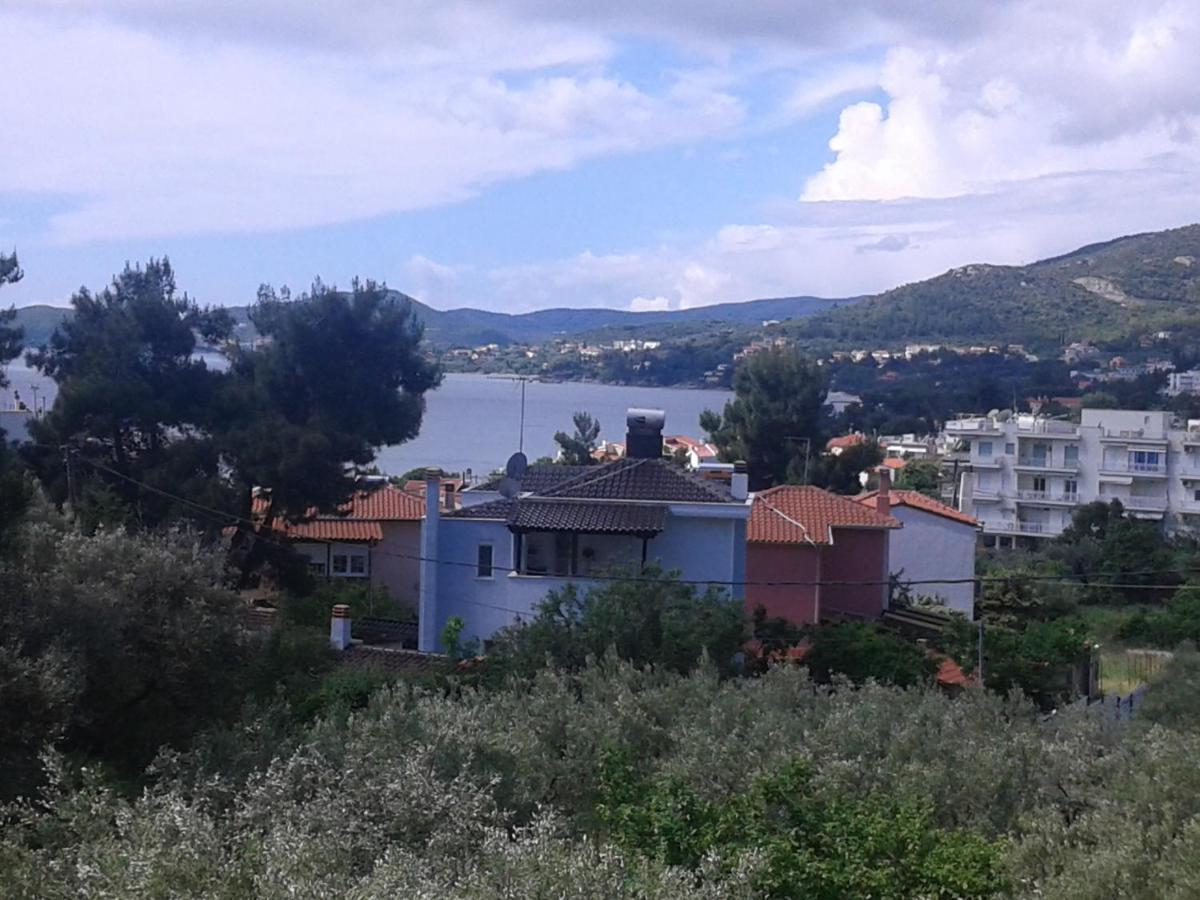 Helianthos Villa - Apartment No4 PalaiónTsiflíkion Εξωτερικό φωτογραφία