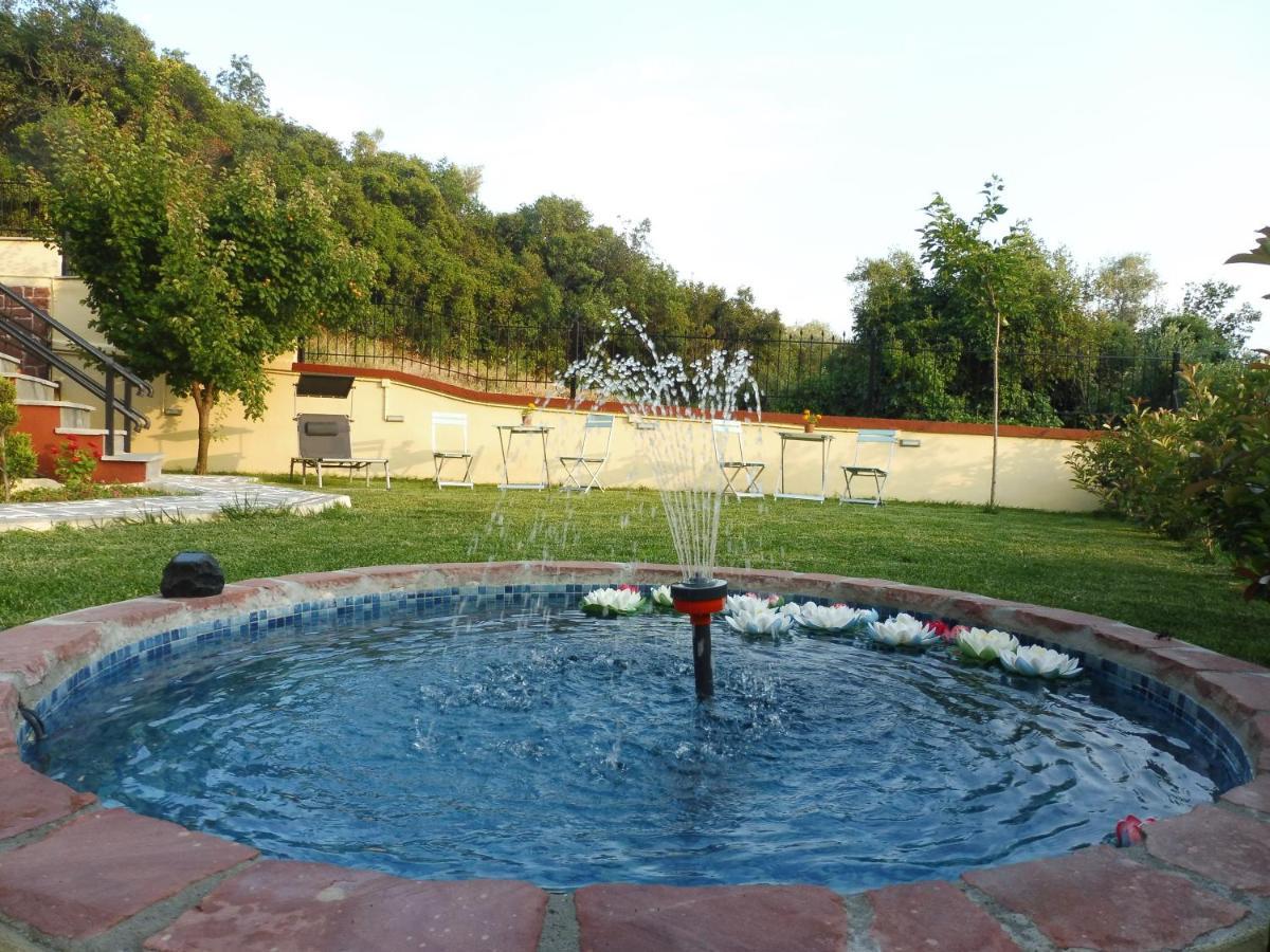 Helianthos Villa - Apartment No4 PalaiónTsiflíkion Εξωτερικό φωτογραφία