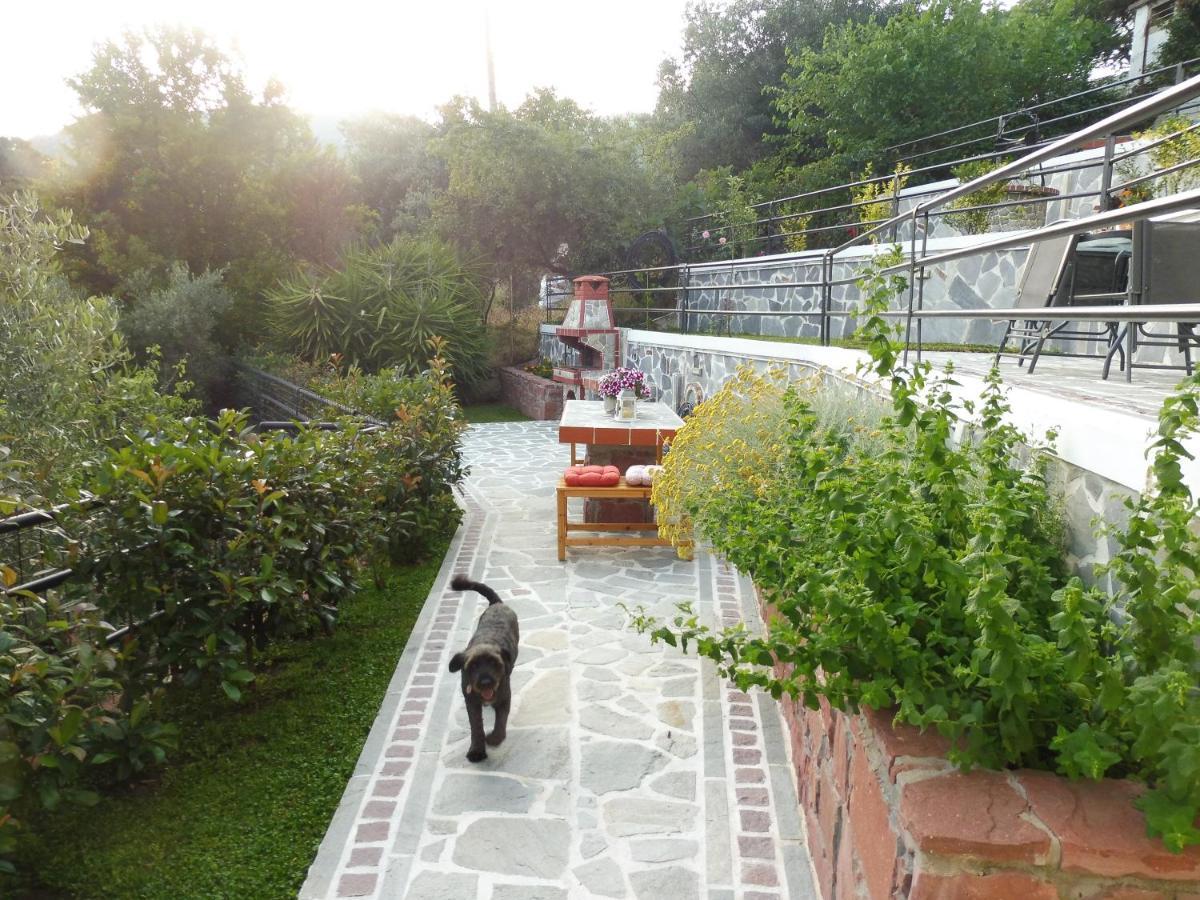 Helianthos Villa - Apartment No4 PalaiónTsiflíkion Εξωτερικό φωτογραφία