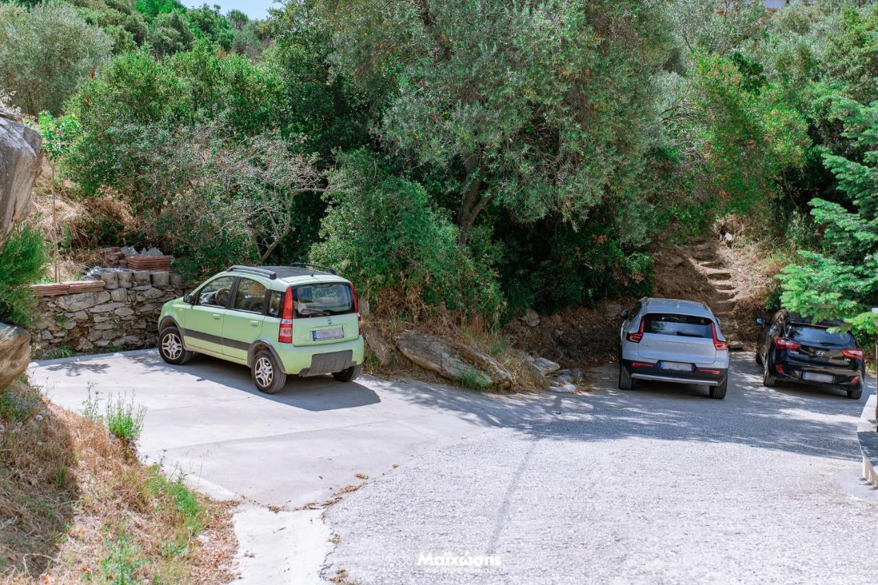 Helianthos Villa - Apartment No4 PalaiónTsiflíkion Εξωτερικό φωτογραφία