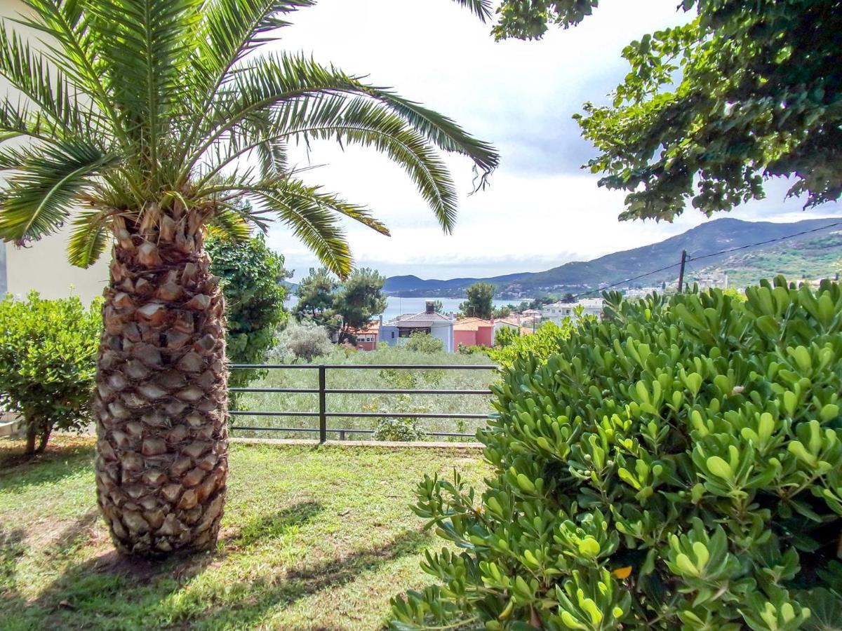 Helianthos Villa - Apartment No4 PalaiónTsiflíkion Εξωτερικό φωτογραφία